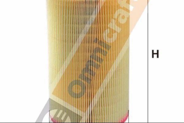Air Filter (2133181)