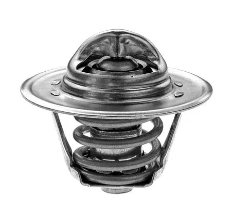 Thermostat, coolant (2458035)