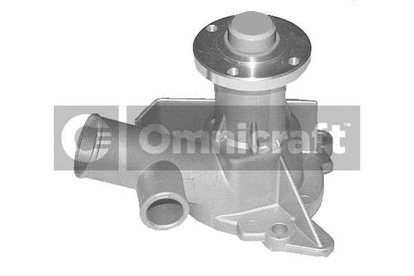 Water Pump, engine cooling (2317399)