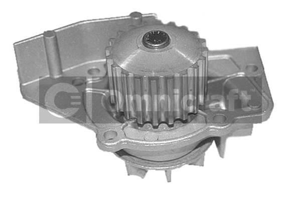 Water Pump, engine cooling (2316878)