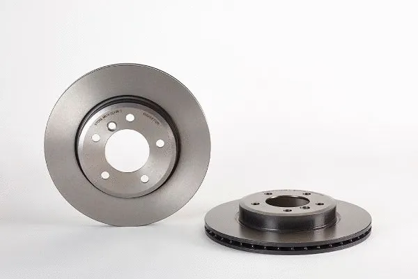 Brake Disc (2134018)