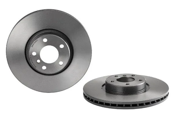 Brake Disc (2134542)