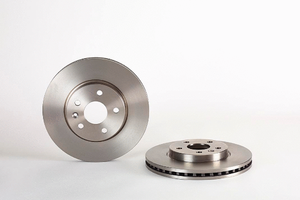 Brake Disc (2134479)