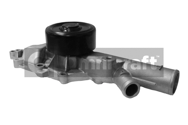 Water Pump, engine cooling (2317006)