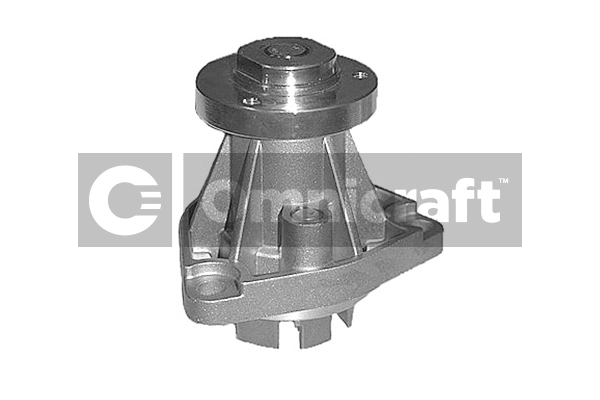Water Pump, engine cooling (2317354)