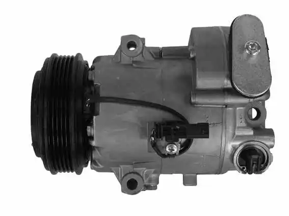 Compressor, air conditioning (10-2095)