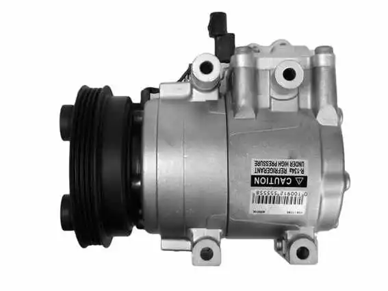 Compressor, air conditioning (10-1194)