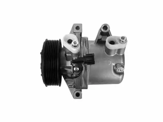 Compressor, air conditioning (10-2079)