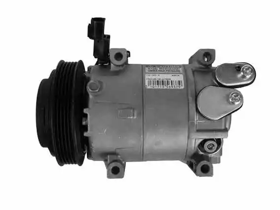 Compressor, air conditioning (10-2031)