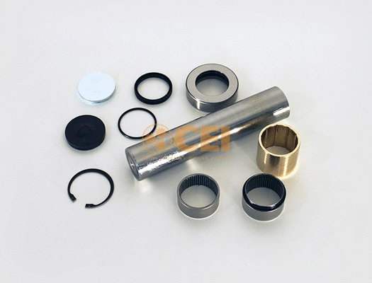 Repair Kit, kingpin (230.093)