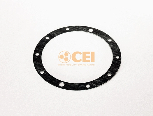 Gasket, differential (239.068)