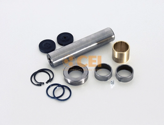 Repair Kit, kingpin (230.079)