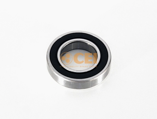 Bearing (134.117)