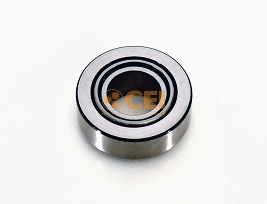 Bearing (130.317)