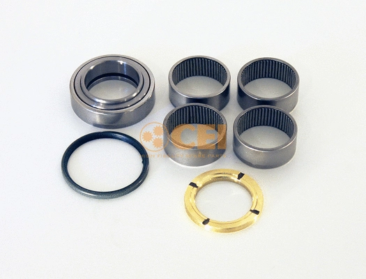 Repair Kit, kingpin (230.026)