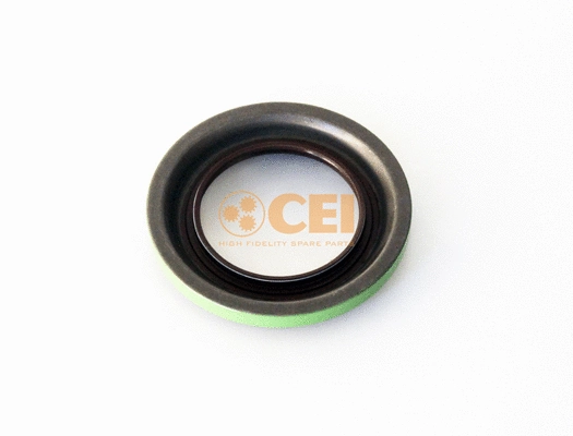 Shaft Seal, differential (139.615)