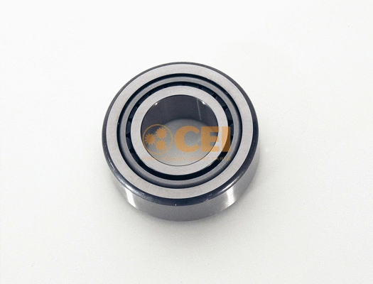 Bearing (130.307)
