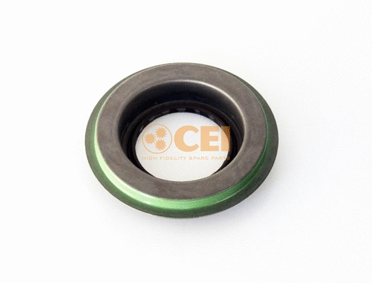 Shaft Seal, differential (139.590)