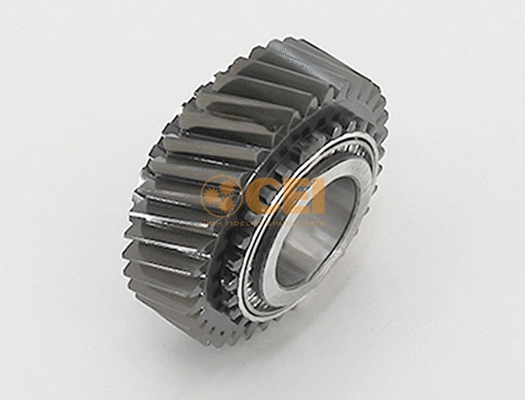 Gear, main shaft (145.980)