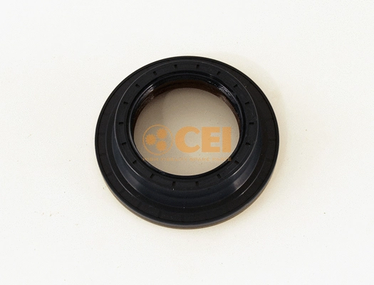 Shaft Seal, differential (139.589)
