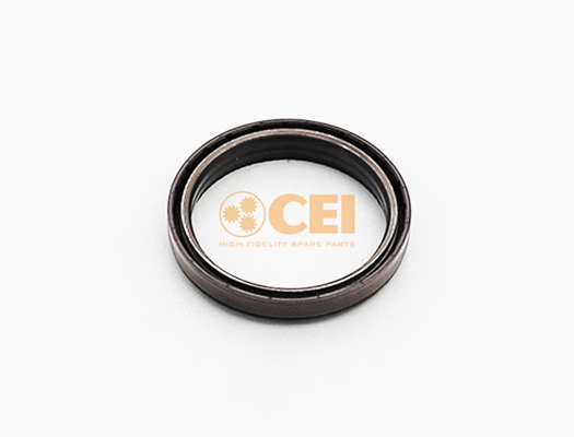 Shaft Seal, differential (139.483)