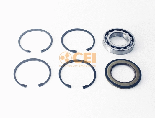 Bearing Kit, manual transmission (298.752)