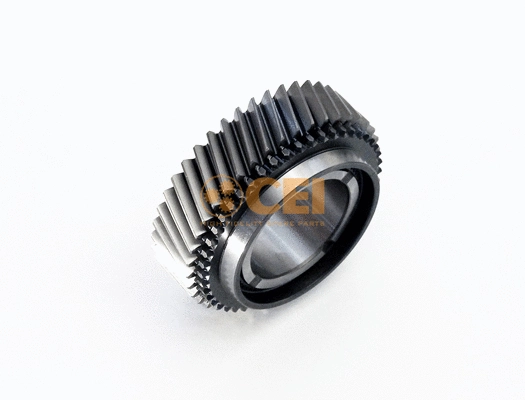 Gear, countershaft (146.894)