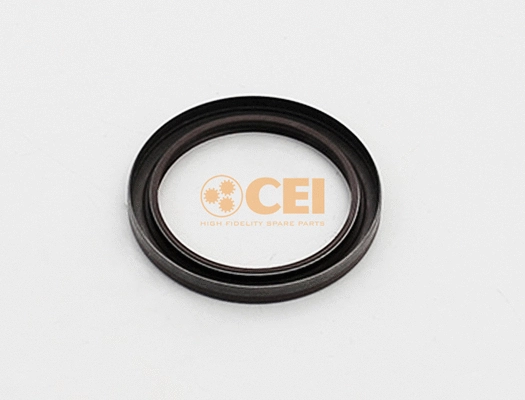 Shaft Seal, manual transmission (139.866)