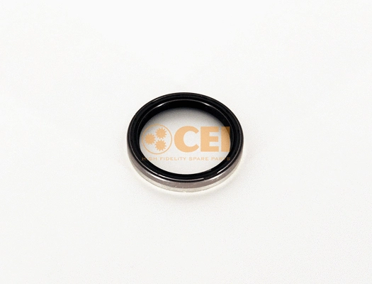 Shaft Seal, manual transmission (239.216)