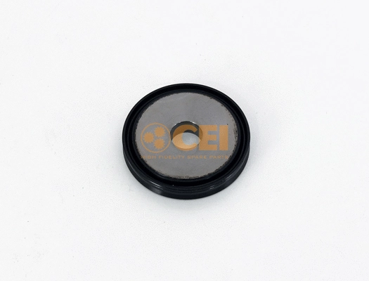 Piston, shift cylinder (189.718)