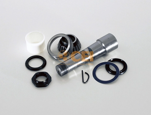 Repair Kit, kingpin (230.081)