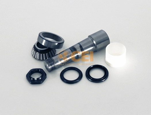 Repair Kit, kingpin (230.077)