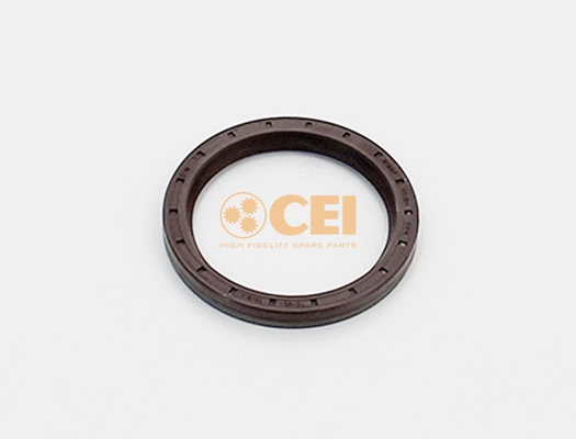 Shaft Seal, differential (139.587)