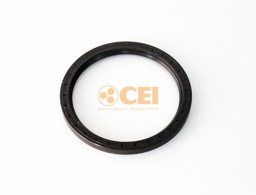 Shaft Seal, differential (239.150)