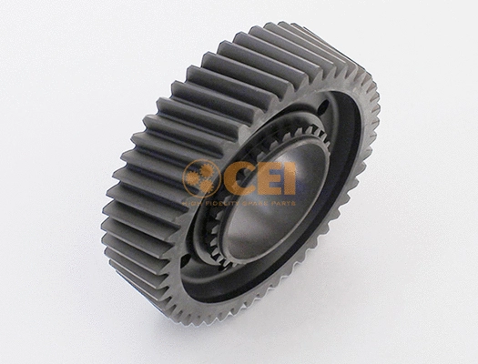 Gear, main shaft (244.010)