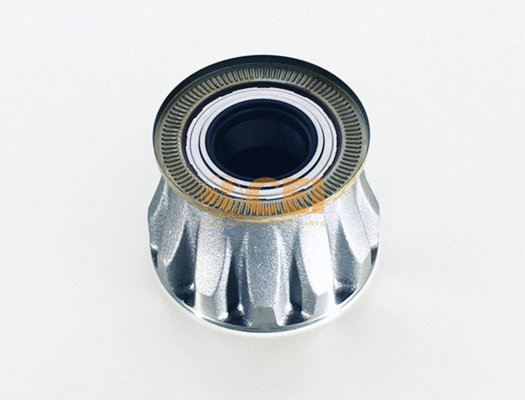 Wheel Bearing (131.619)