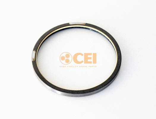 Shaft Seal, differential (239.193)