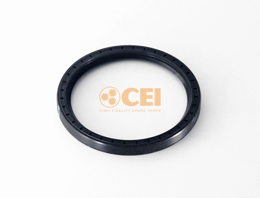 Shaft Seal, differential (239.362)