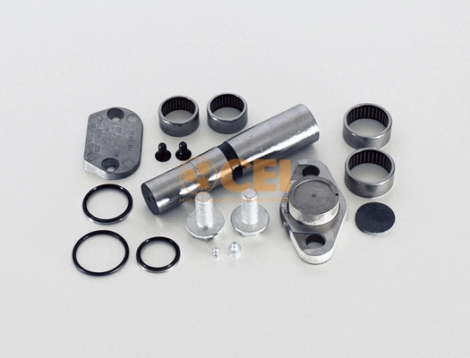Repair Kit, kingpin (230.058)
