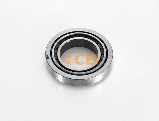 Bearing (130.793)