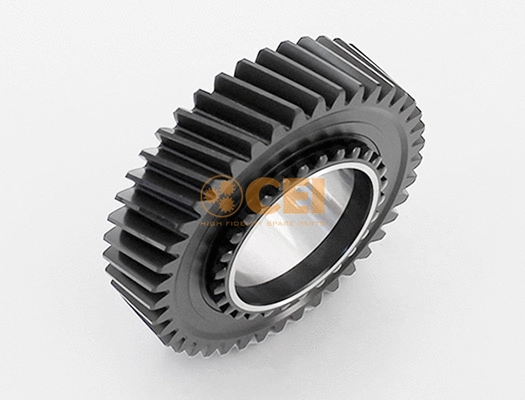 Gear, main shaft (244.008)