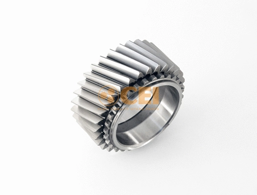 Gear, main shaft (244.368)