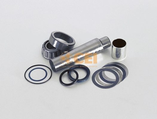 Repair Kit, kingpin (198.619)