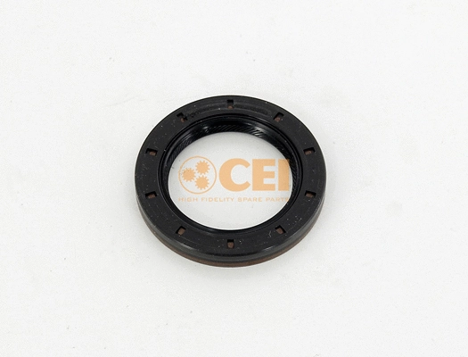 Shaft Seal, manual transmission (239.161)