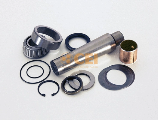 Repair Kit, kingpin (230.005)