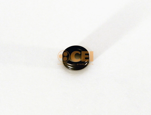 Shaft Seal, manual transmission (239.105)