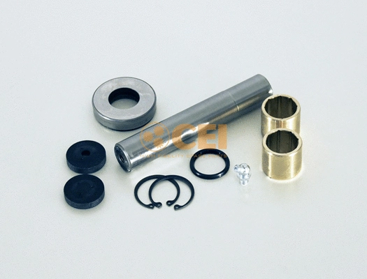 Repair Kit, kingpin (230.084)