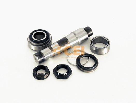 Repair Kit, kingpin (230.170)