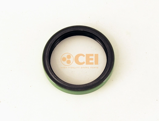 Shaft Seal, differential (139.384)