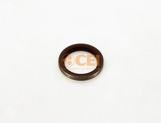 Shaft Seal, differential (139.928)